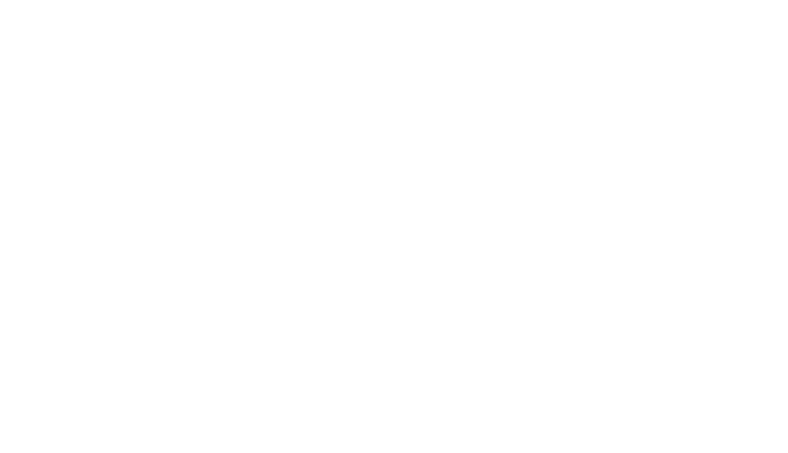 BluVegas white logo